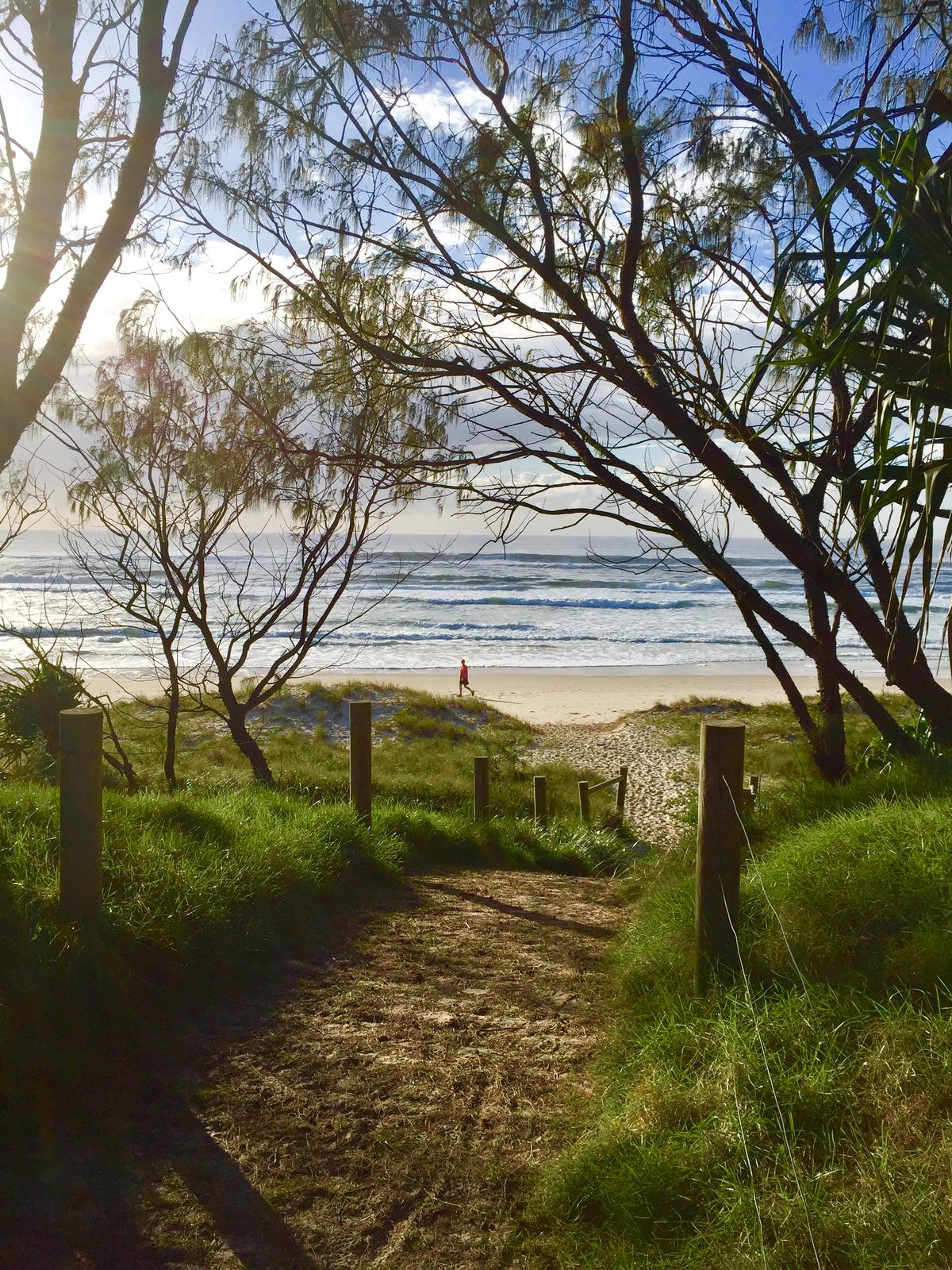 Coastal walking path along the Kapiti Coast with native vegetation and open sky
